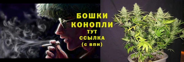 твердый Арсеньев