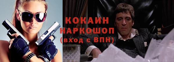 твердый Арсеньев