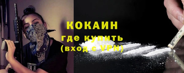 твердый Арсеньев